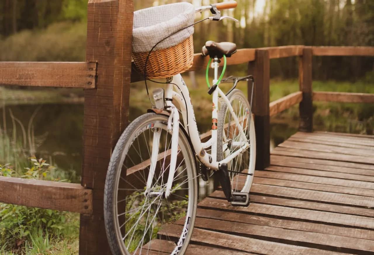 Najlepsze rowery trekkingowe damskie: komfort i trwałość na każdą trasę